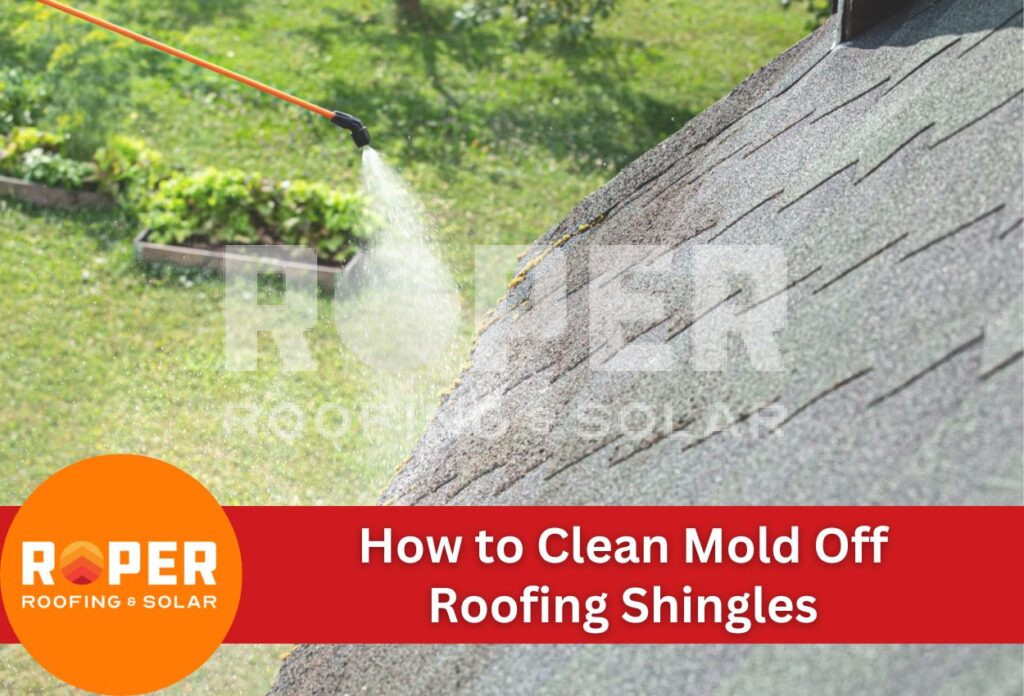 How to Clean Mold Off Roofing Shingles